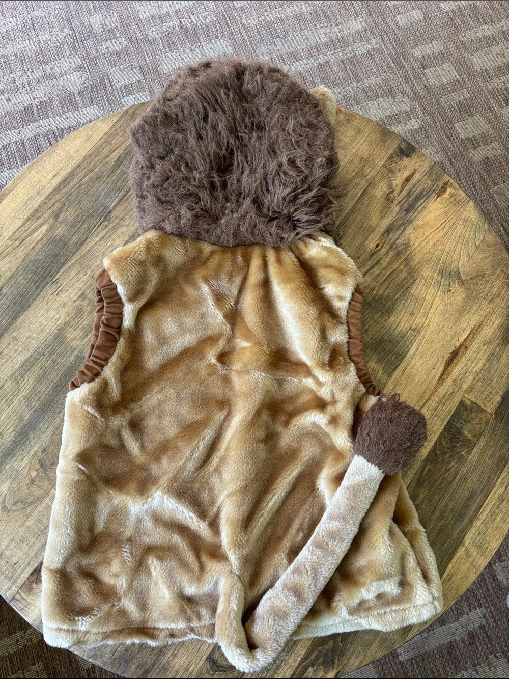 Child Size Large Lion Costume